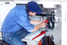 Best Commercial Plumbing Services  in Bruceton, TN